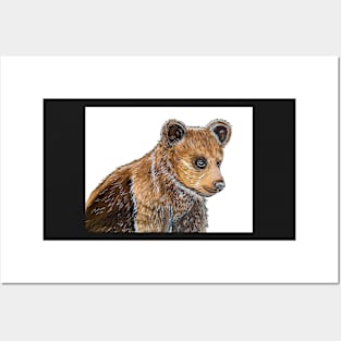 Bear cub Posters and Art